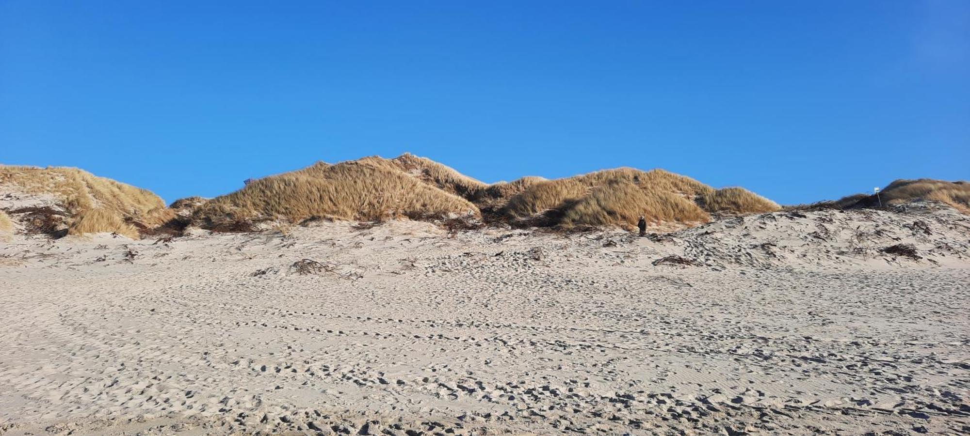 Gadegaard Apartment Ringkøbing Zewnętrze zdjęcie