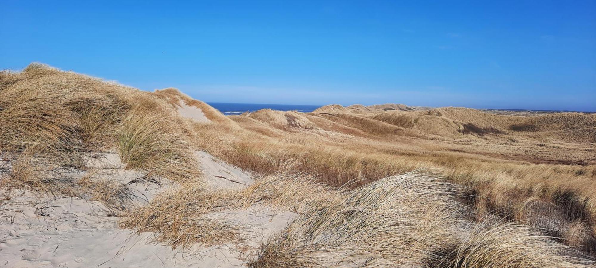 Gadegaard Apartment Ringkøbing Zewnętrze zdjęcie